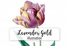 Florals - Vintage Lavender Gold Tulip Product Image 1
