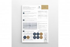 Business Plan Executive Summary Template Product Image 4