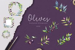 Branches of an olive tree PNG watercolor set Product Image 2
