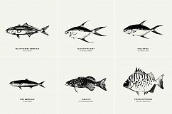 Premium Fishes Illustrations Product Image 7