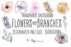 Succulents. Watercolor clip art Product Image 2