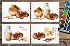 Reishi. Ganoderma Lucidum Product Image 4