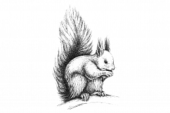 Hand drawn illustration with forest Squirrel Product Image 2