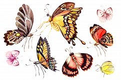Beautiful watercolor butterflies Product Image 6