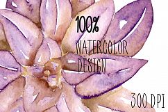 Succulents. Watercolor clip art Product Image 4