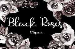 Black and White Watercolor Flowers Clipart Product Image 2