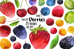 Watercolor Berries Clipart Product Image 1