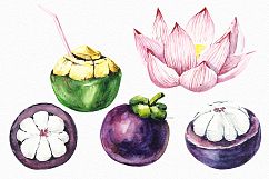 Tropical summer bird watercolor clipart illustration Product Image 4