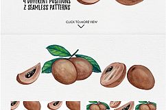watercolor fruit vol.7 Product Image 4
