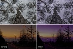 Dark Forest Lr Presets Product Image 3