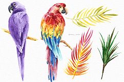 Tropical summer bird watercolor clipart illustration Product Image 2