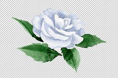 White camellia wildflower PNG watercolor set Product Image 5