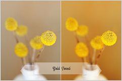 Incredible Flowers Profiles LR7.3 ACR10.3 Product Image 11
