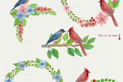 Song Birds Watercolor Clipart Product Image 6