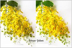 Incredible Flowers Profiles LR7.3 ACR10.3 Product Image 28