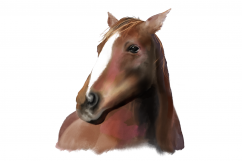 Horses | Digital Watercolor Clip Art | PNG/JPEG Product Image 2