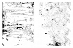 The Black Inklab Vol. 1 Product Image 9