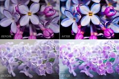 Lilac Lr Presets Product Image 6