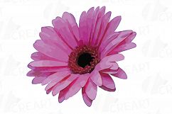 Watercolor Gerbera Daisy clip art pack, colorful gerbers Product Image 16