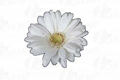 Watercolor Gerbera Daisy clip art pack, colorful gerbers Product Image 3
