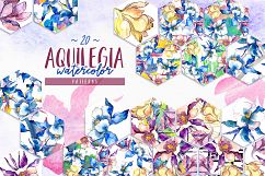Beautiful aquilegia PNG watercolor set Product Image 6