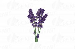 Lavender leaves and bouquets watercolor clip art pack, Lavender design elements. PNG, jpg, svg, vector illustrator&amp; corel files included Product Image 7