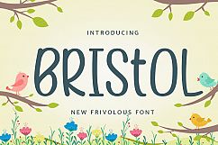 Bristol Product Image 1
