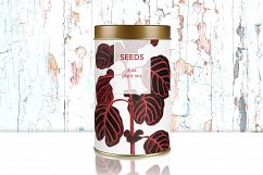 Leaves - Vintage Achranthes Verschaffeltii Product Image 2