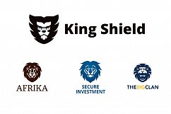 Lions Logo Badge Kit Product Image 3