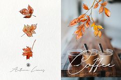 Autumn Leaves Product Image 3