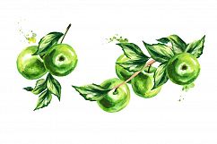 Green Apple. Watercolor collection Product Image 3