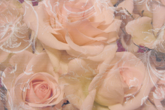Damask Textures - Grunge Ornate Transparent Overlay Textures Product Image 5