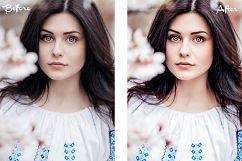 Fashion and Portrait Lightroom Presets Product Image 2