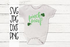 Pinch Proof, St Patricks day, SVG Product Image 1
