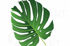 Summer leaf clip art pack, palm leaf collection. Eps, png, jpg, pdf, svg, vector illustrator &amp; corel files included, instant download Product Image 4