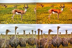 Africa Lr Presets Product Image 10
