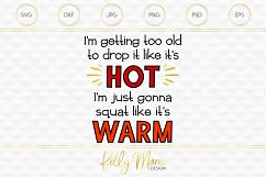 Drop It Like It's Hot SVG File Product Image 1
