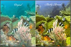 Dive Fix &amp; HDR LUTs Product Image 5