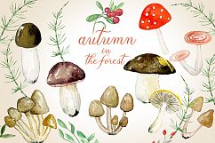 Autumn in the forest. Watercolor clipart. Product Image 3