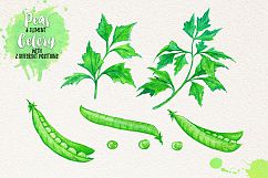 Watercolor Vegetables, Herbs, Green Product Image 6