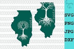 State Roots-All 50 States Product Image 17