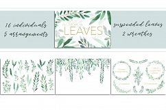 3 in 1 - All About Leaves Bundle Product Image 2