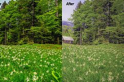 Mixed Bundle - 2018 Lightroom Presets Product Image 28