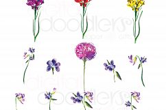Watercolor Wildflowers  Product Image 8