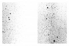 Subtle Paint Splatter Vol. 2 Product Image 19