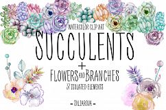 Succulents. Watercolor clip art Product Image 1