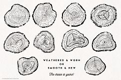 Timber -  Vector Illustration Image Set Product Image 3