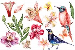 Hand Drawn Watercolor Flowers Product Image 5