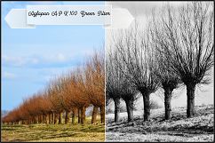AGFA B&amp;W Films Profiles LR 7.3 ACR 10.3 Product Image 5