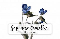 Florals - Vintage Commelina Product Image 1